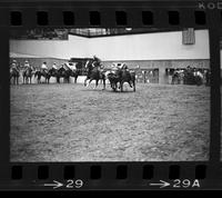 Buddy Lytle Steer wrestling, 7.4 Sec