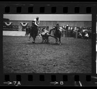 Don Urbanek Steer wrestling, 7.8 Sec