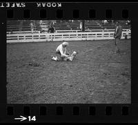 [Unknown cowgirl calf roping]