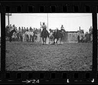 [Unknown Steer wrestler]