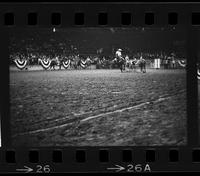 [Unknown Steer wrestler]