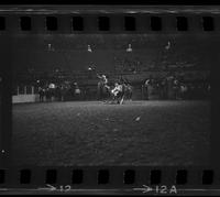 David Crater Steer wrestling, 4.7 Sec