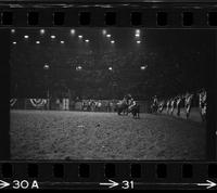 Bob Wilson Calf roping