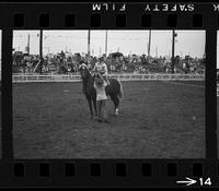 [Unknown horse show]