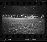 [Unknown Steer wrestler]