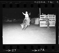 Perry Hatfield on Bull #89