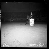 Joyce Burk Barrel racing