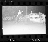 Donnie Reader on Bull #9