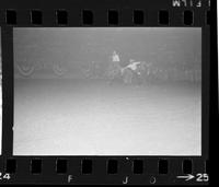 [Unknown Steer wrestler]