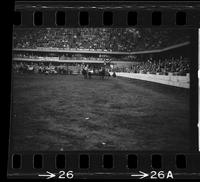 Bill Innes Steer wrestling