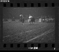 [Unknown Steer wrestler]