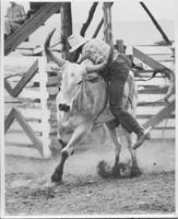 J. E. Ranch Rodeo, Waverly N.Y.