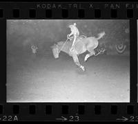 [Unknown Saddle bronc rider]