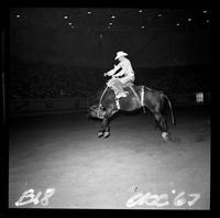 Roy Rodewald on Pistol Pete