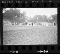 Bill Lee Steer wrestling