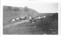 Range Quarter Circle U Ranch 1928