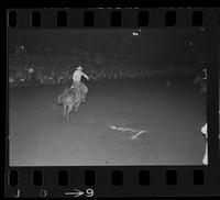 [Unknown Saddle bronc rider]