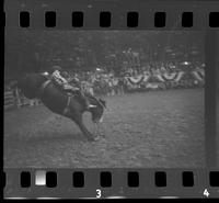 [Unknown Bareback rider]