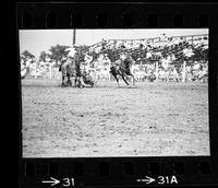 Stan Neal Steer wrestling