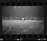 Junior Meek Steer wrestling