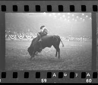 [Unknown Bull rider]