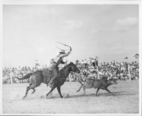 J.E. Ranch Rodeo, Waverly, N.Y. 1940's