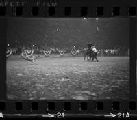 Guy Weeks Calf roping