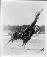 [Female trick rider standing up on front of saddle]