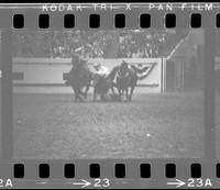 Jim Bynum Steer wrestling, 5.0 Sec