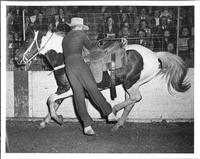 Johnnie Chapman trick riding, Washington D.C. late 1930's