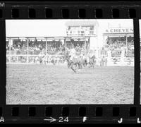 Dick Gifford on Pay Window amateur saddle bronc riding