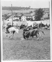 J.E. Ranch Rodeo JR. Eskew hazer