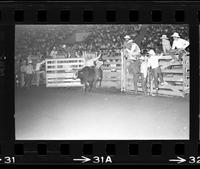 Robert Crowell on Bull #034