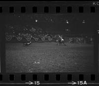 Roy Burk Calf roping