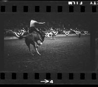 [Unknown Bareback rider]