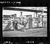 [Unknown Mounted cowboy]