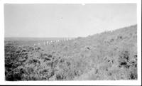 July 5, 1928 Custer Mem. Stones where bodies were found. Battlefield