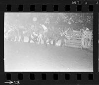[Unknown Bull riders}