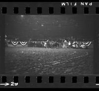 [Unknown Steer wrestler]