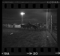 Dink Cottrell Calf roping, 15.0 Sec