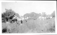 July 1928 Camp. Rope Corral Lodge Grass