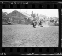 Zane Tibbets Calf roping, 12.8 Sec