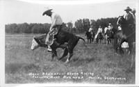 Buck Brunnell Steer Riding Ashland, Mont. Roundup