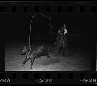 Don Bullock Calf roping