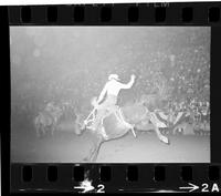Dennis Reiners on unknown horse