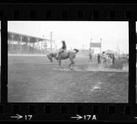 [Unknown Bareback rider]