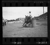 Dottye Goodspeed Barrel racing