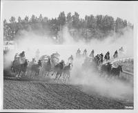 The event that made the Clagary Stampede famous-the chuckwagon race