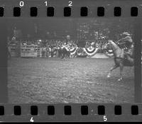 [Unknown Bareback rider]
