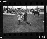 [Unknown customed ceremonial presentations]